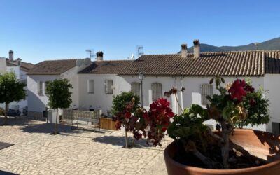 🌐 El papel de la mujer en la transformación digital